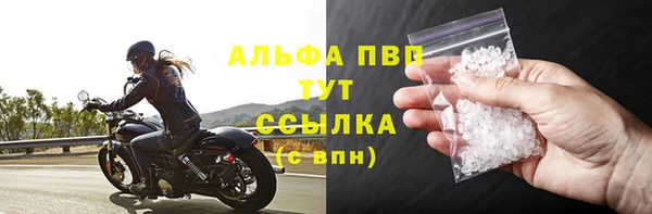сатива Чердынь