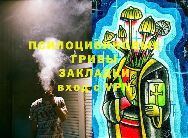 спиды Волосово