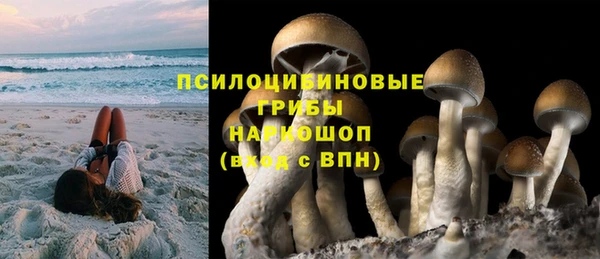 ГАЛЛЮЦИНОГЕННЫЕ ГРИБЫ Домодедово