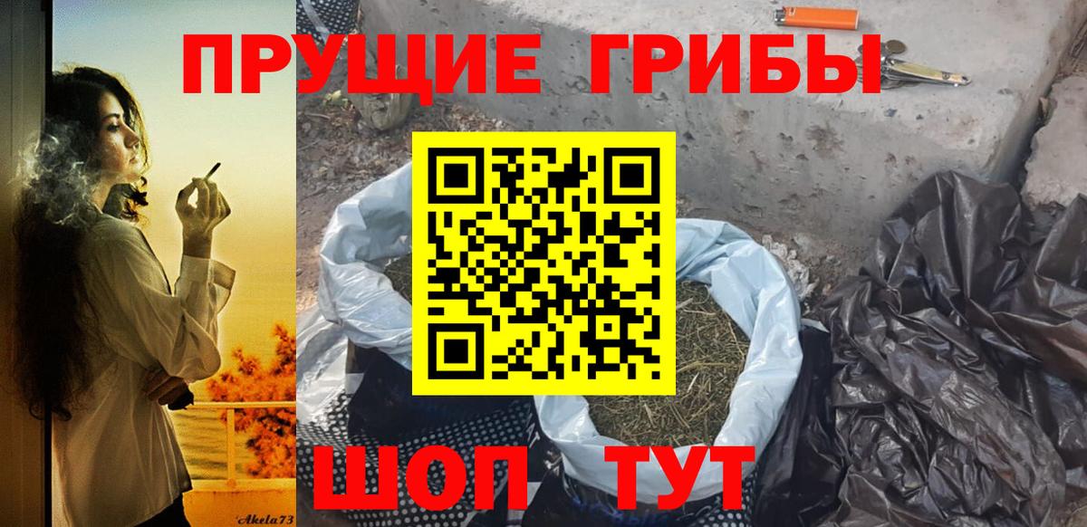Энгельс  Псилоцибиновые грибы Cubensis  Галлюциногенные грибы MAGIC MUSHROOMS  Вход с VPN 