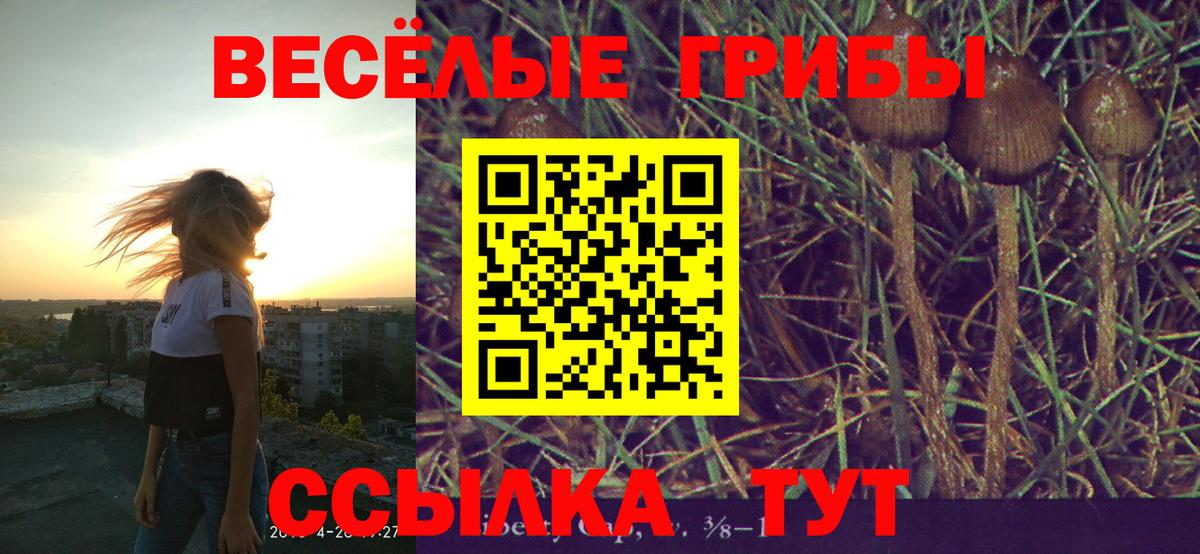Галлюциногенные грибы Magic Shrooms  Энгельс 