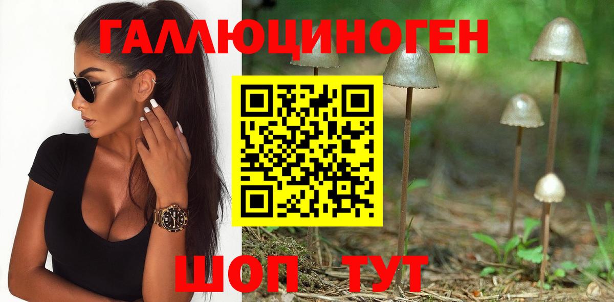Галлюциногенные грибы мухоморы Энгельс